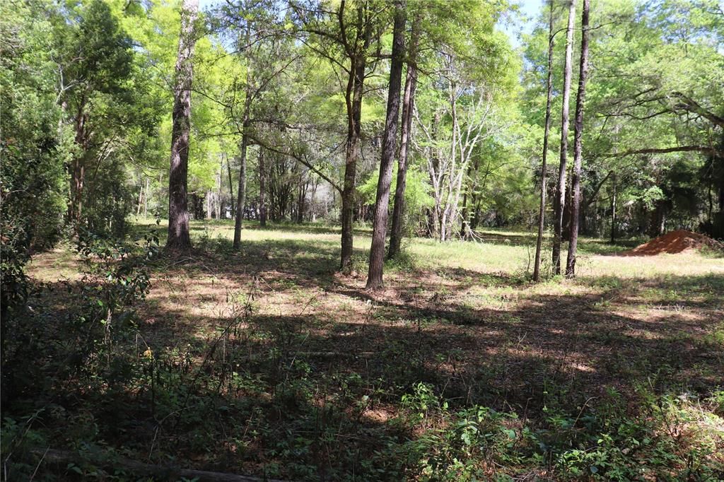 For Sale: $239,000 (4.31 acres)