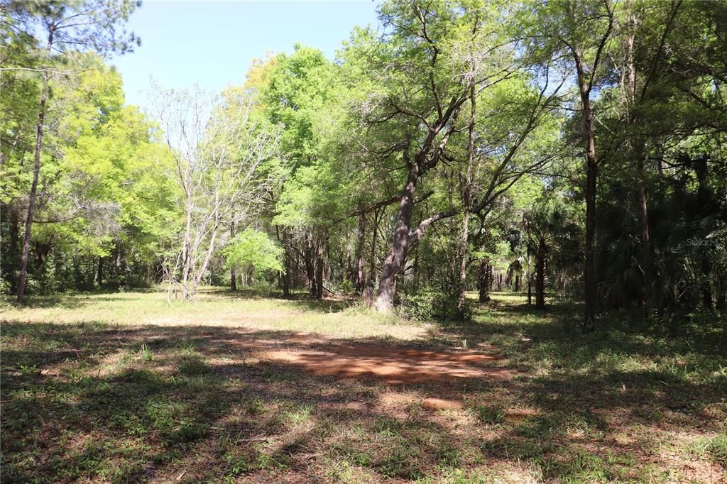 For Sale: $239,000 (4.31 acres)