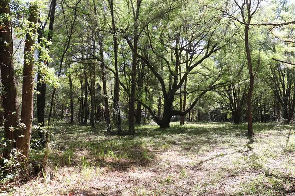 For Sale: $239,000 (4.31 acres)