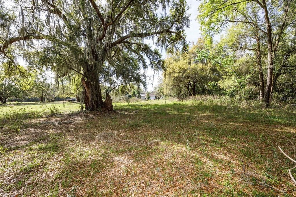 For Sale: $800,000 (2.80 acres)