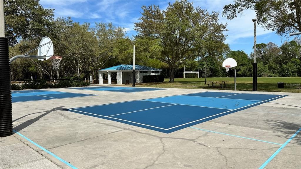 Pickleball/Basketball Court