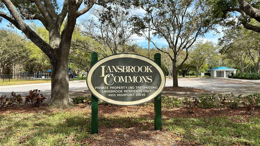 Lansbrook Commons Park