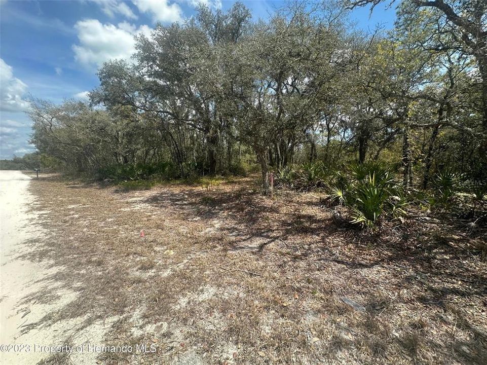 Recently Sold: $32,500 (1.16 acres)