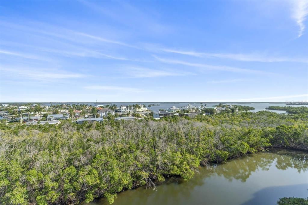 Mangroves and Estero Bay