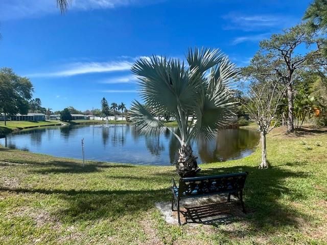 This is right next door to your home. Sit out here on bench and feed the birds or just enjoy the serene sound of the fountain