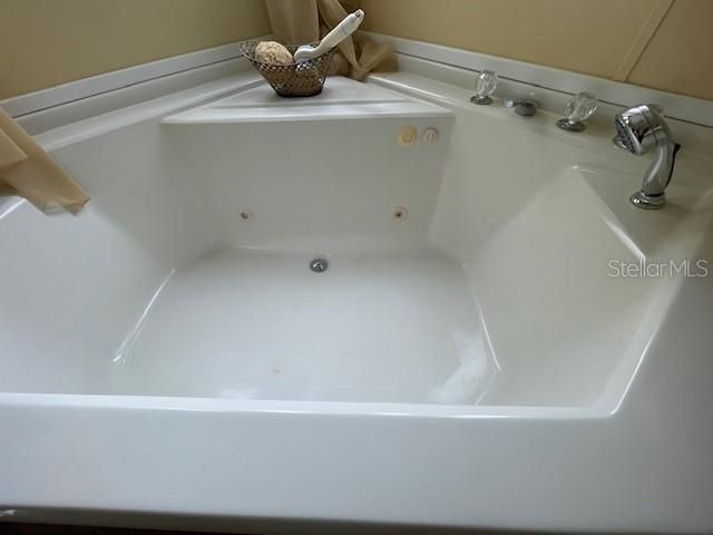 Master sunken garden  Bath Tub