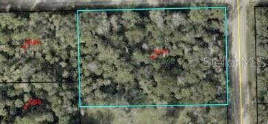 For Sale: $49,000 (1.35 acres)