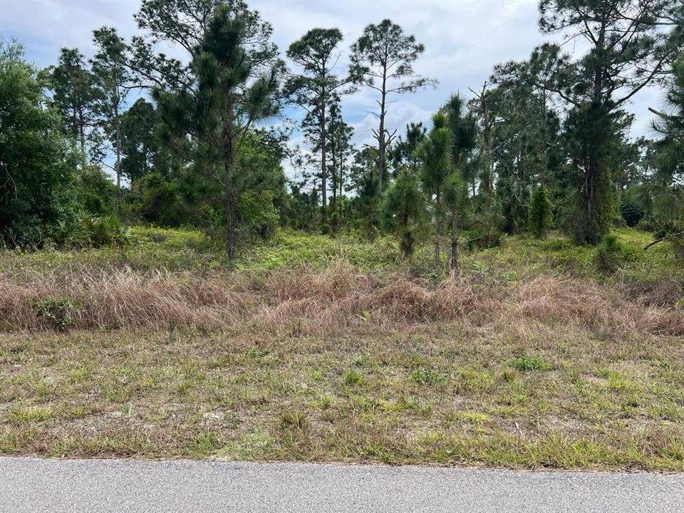 Vendido Recientemente: $15,999 (0.22 acres)