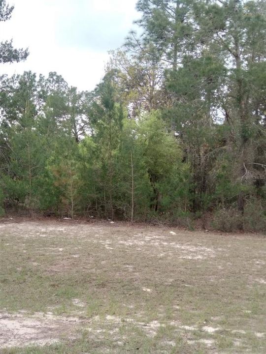 Recently Sold: $28,000 (0.23 acres)