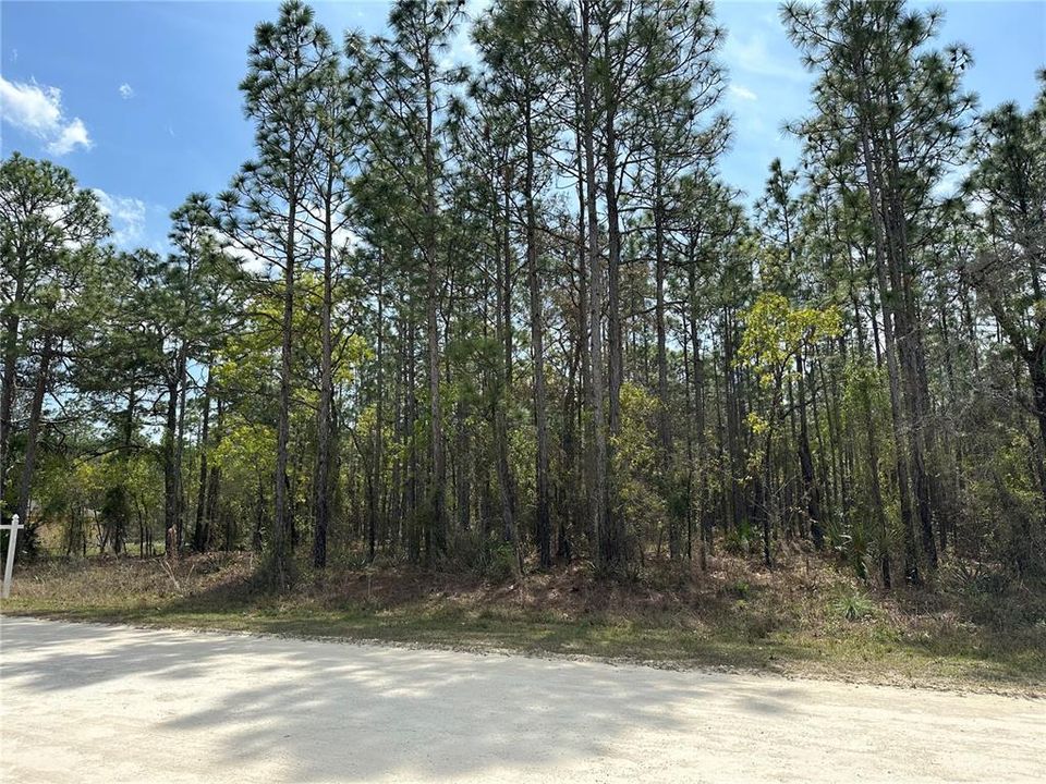 Recently Sold: $95,000 (2.50 acres)