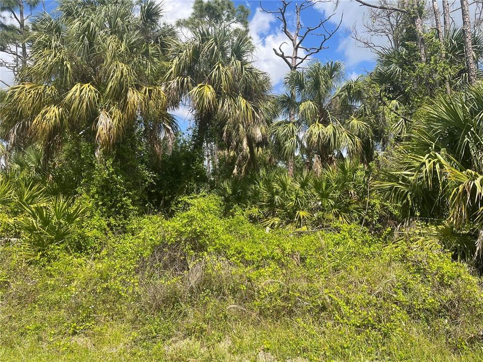 Active With Contract: $29,900 (0.26 acres)