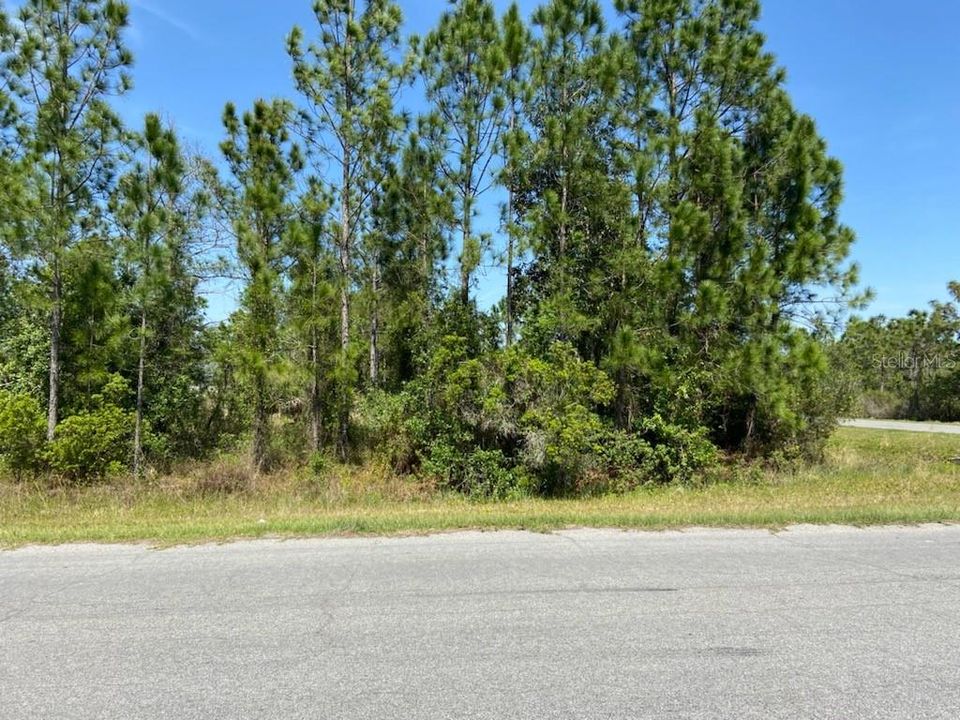 Active With Contract: $135,000 (1.03 acres)