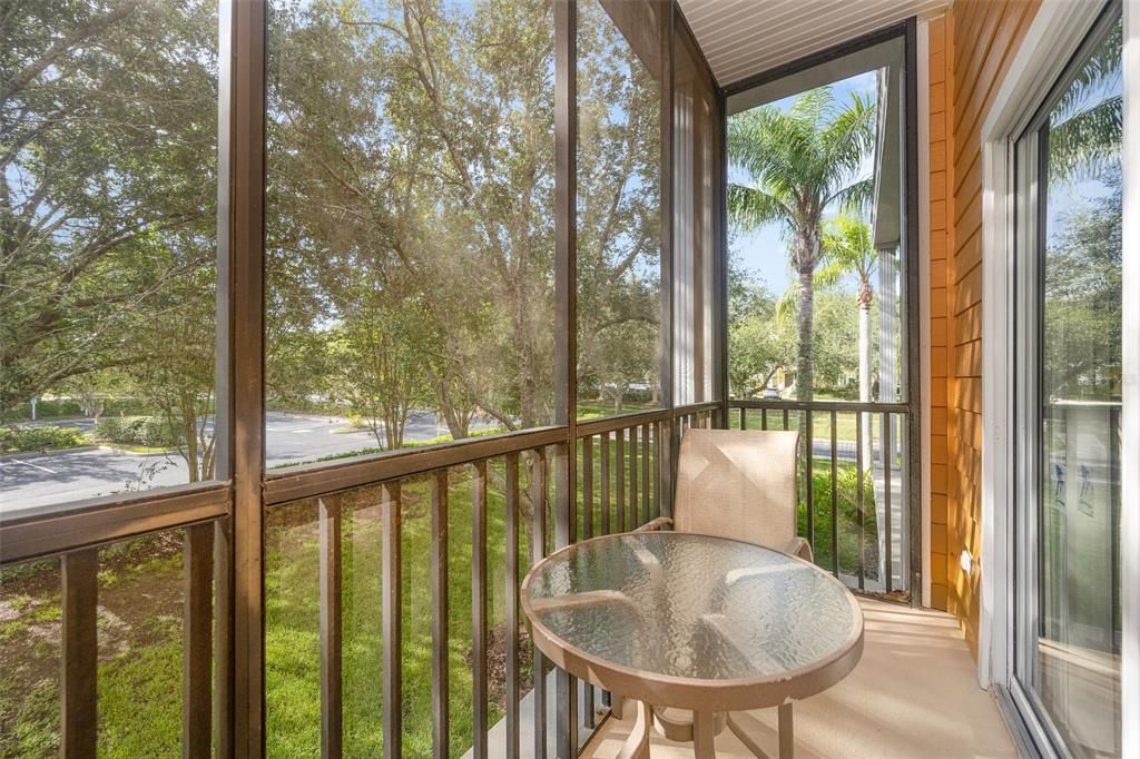 Screened patio with tropical view
