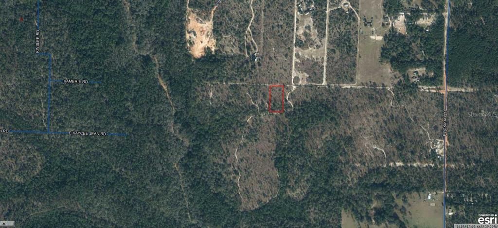 For Sale: $11,500 (1.25 acres)
