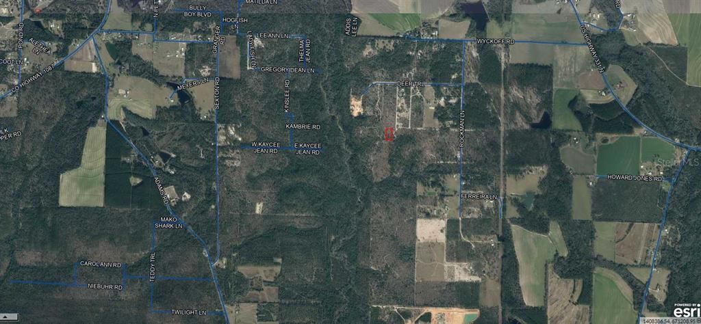 For Sale: $8,500 (1.25 acres)