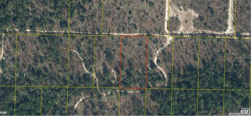 For Sale: $11,500 (1.25 acres)