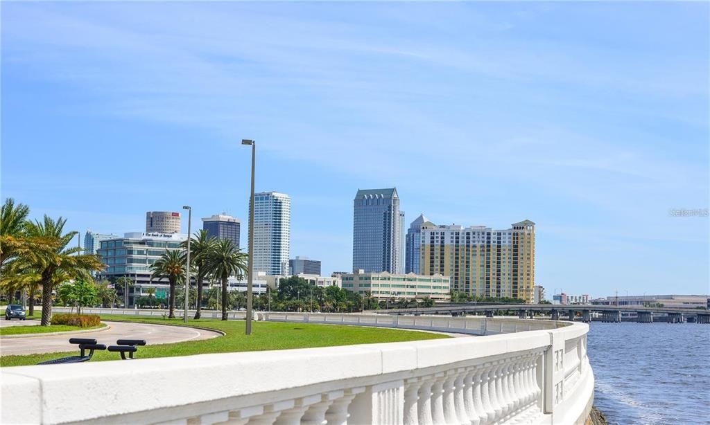 Steps to iconic Bayshore Boulevard