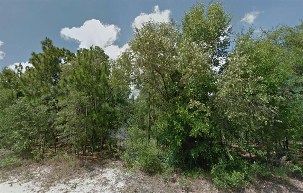 Active With Contract: $18,400 (0.23 acres)
