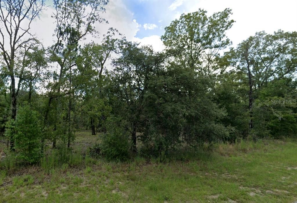 For Sale: $18,400 (0.23 acres)