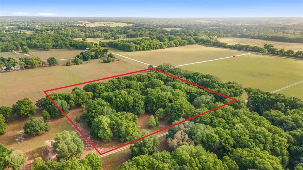 Pretty 10 Acre Tract among other 10 acre Tracts.