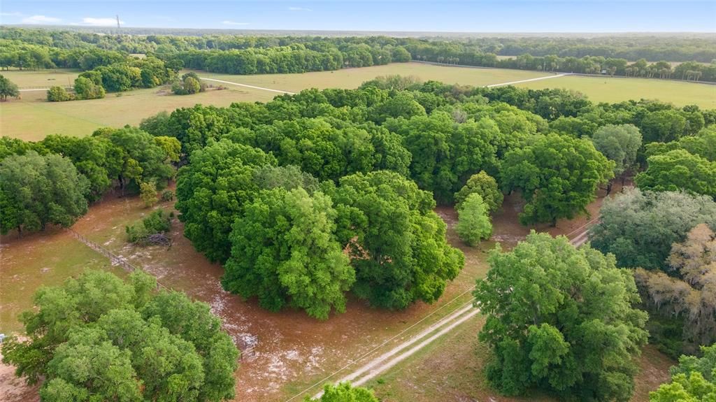 For Sale: $249,000 (10.00 acres)