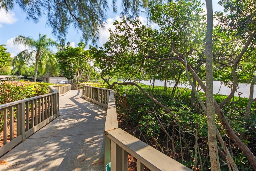 Walking trails along Sarasota bay within Pelican Cove