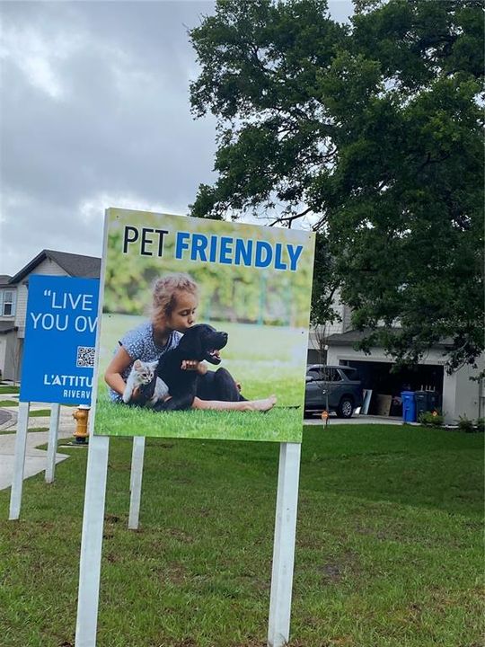 Pet Friendly