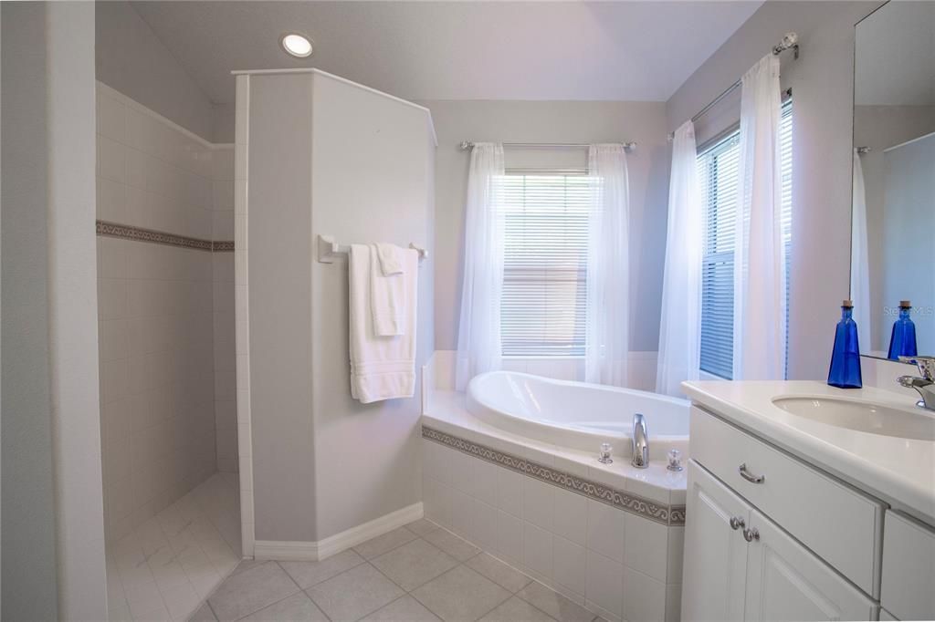 Primary bath with large walk-in shower and jetted tub.