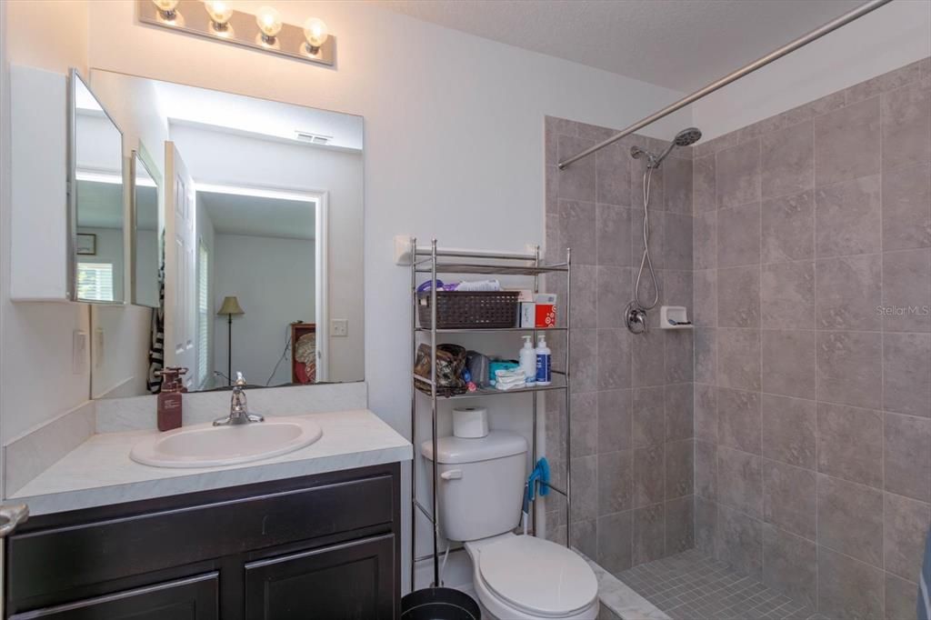 primary bathroom with large shower
