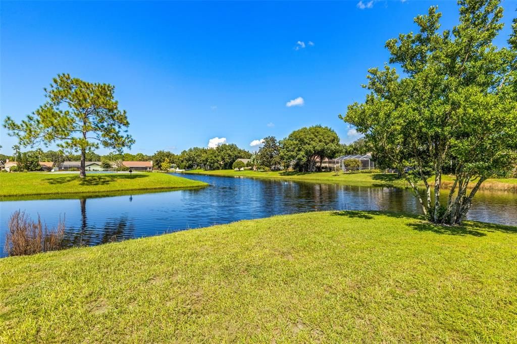 Backyard with water view