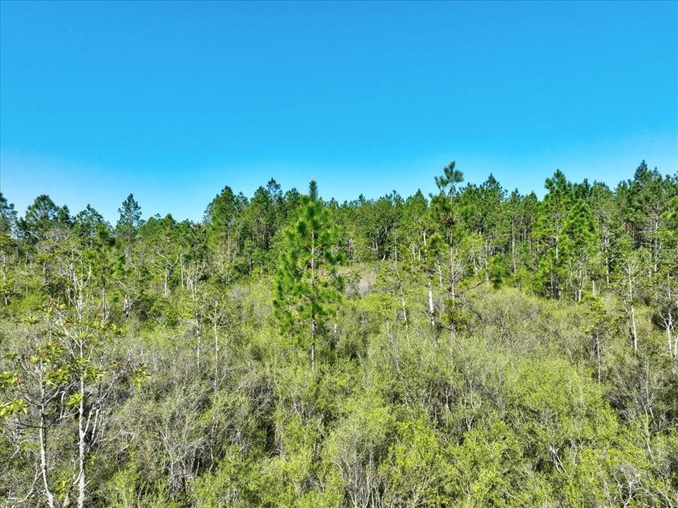 Active With Contract: $230,000 (94.41 acres)