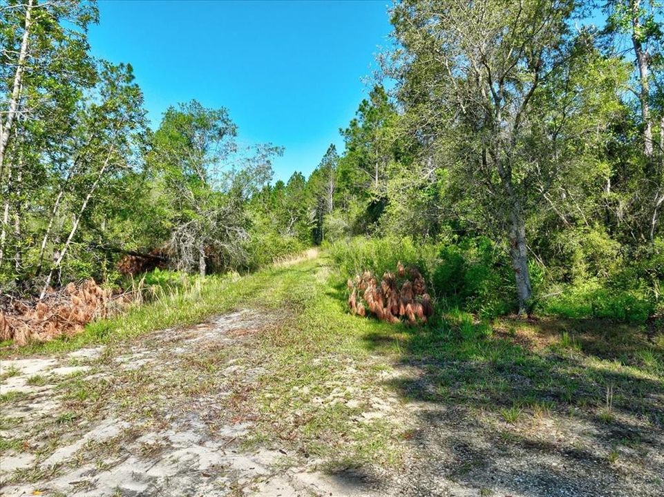 Active With Contract: $230,000 (94.41 acres)