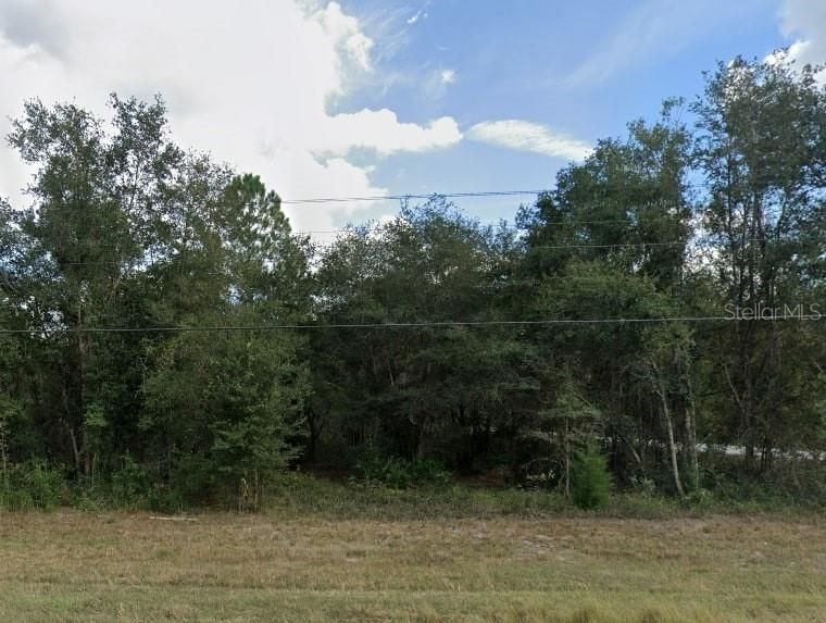 Recently Sold: $10,500 (0.35 acres)