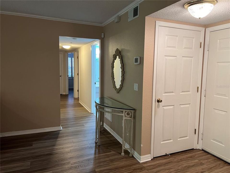Living Room Entry with Storage Door