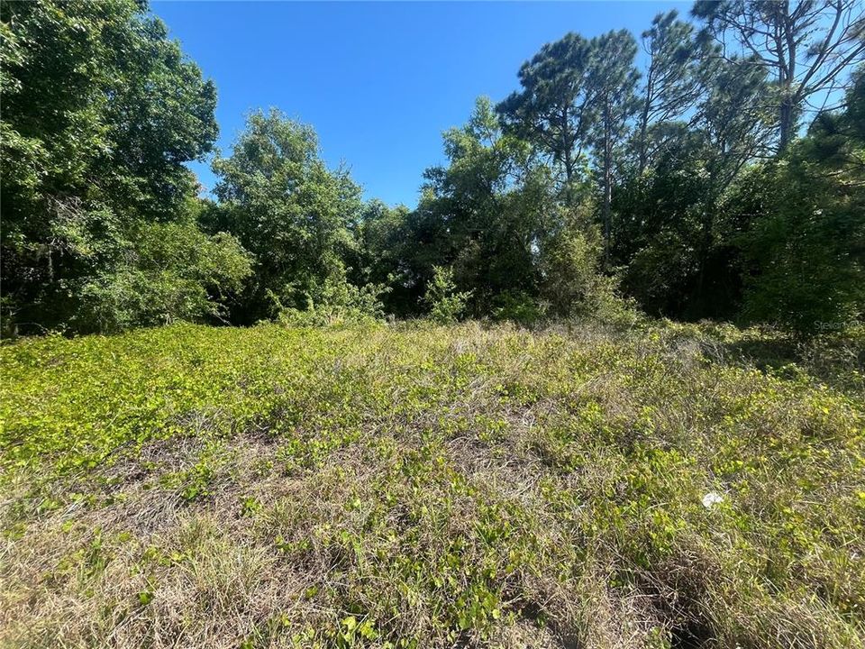 Recently Sold: $18,900 (0.18 acres)