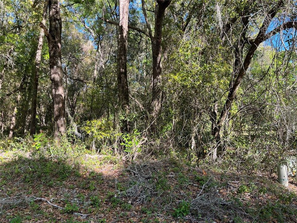 Active With Contract: $38,000 (0.37 acres)