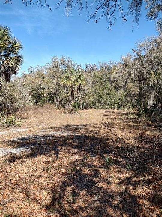 For Sale: $80,000 (2.01 acres)