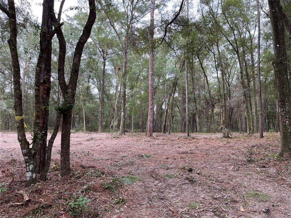 Active With Contract: $39,000 (0.47 acres)