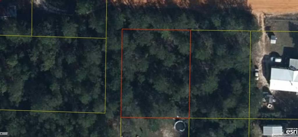 For Sale: $12,900 (0.25 acres)