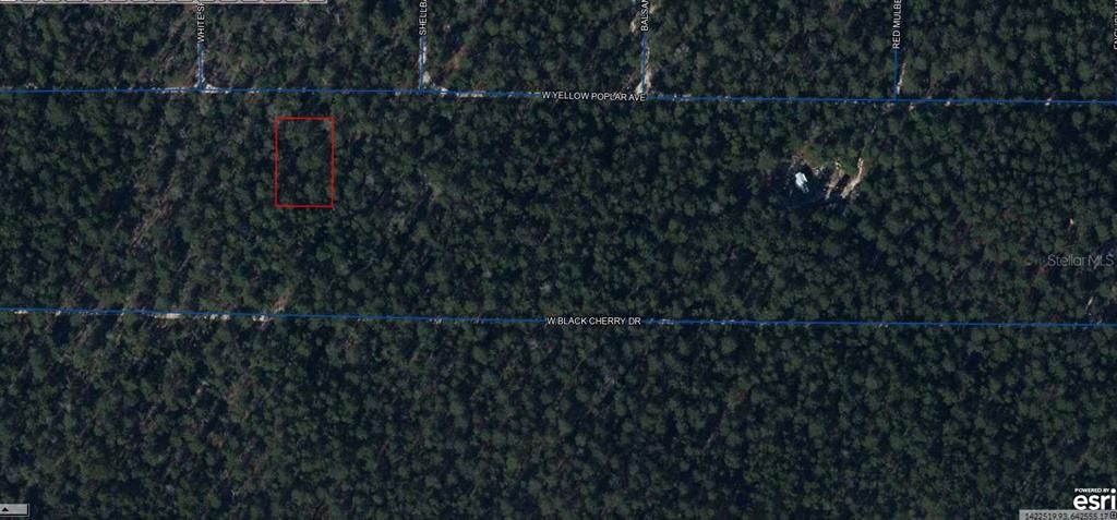 For Sale: $8,900 (0.23 acres)