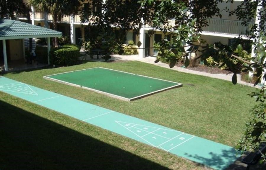 Shuffleboard Court