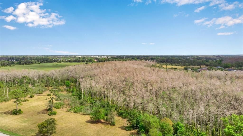 На продажу: $1,850,000 (4.59 acres)