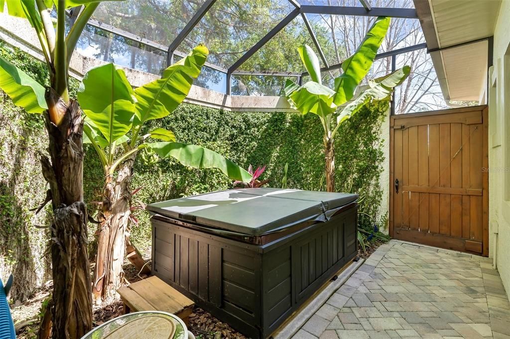 Private Courtyard with Spa leading to Backyard