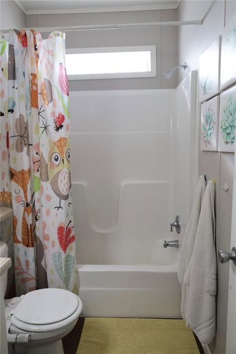 Guest Bathroom tub/shower combo
