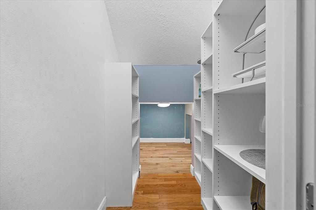 Large walk-in storage pantry leading to secret hidden playroom/storage.