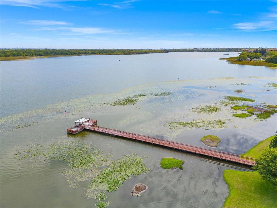 Lake Seminole