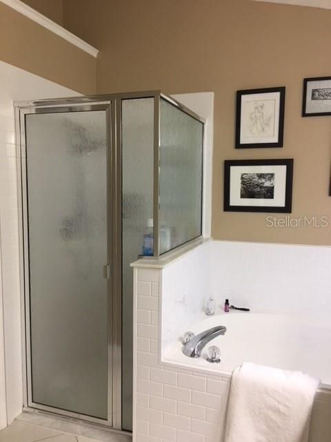Garden tub and glass enclosed shower