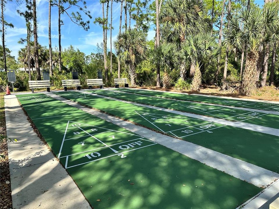 Shuffleboard - Let's play!