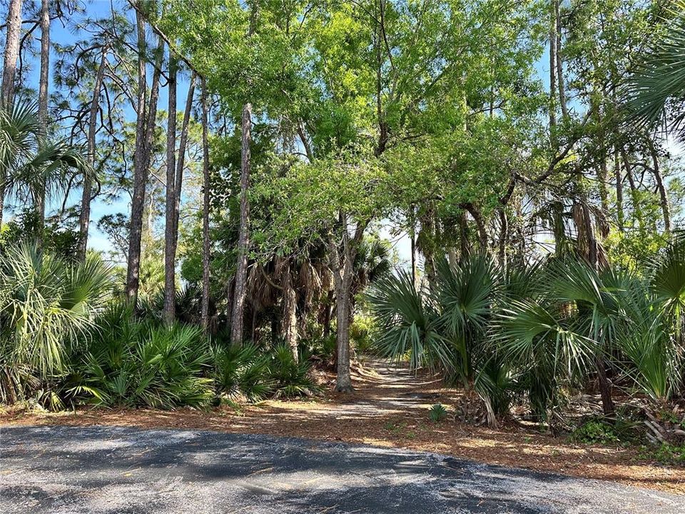 Nature Paths along the river