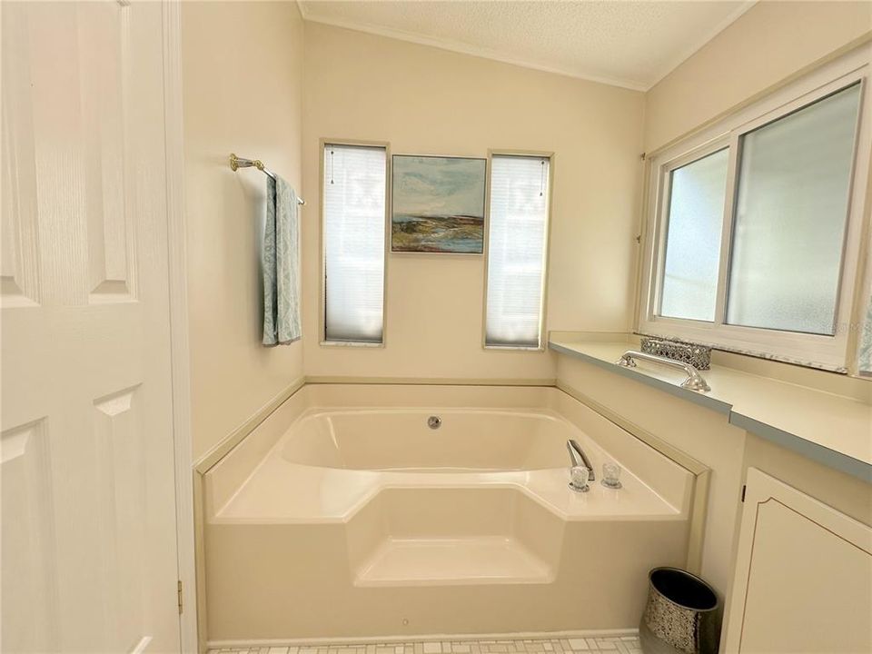 Separate soaking tub in the master bath